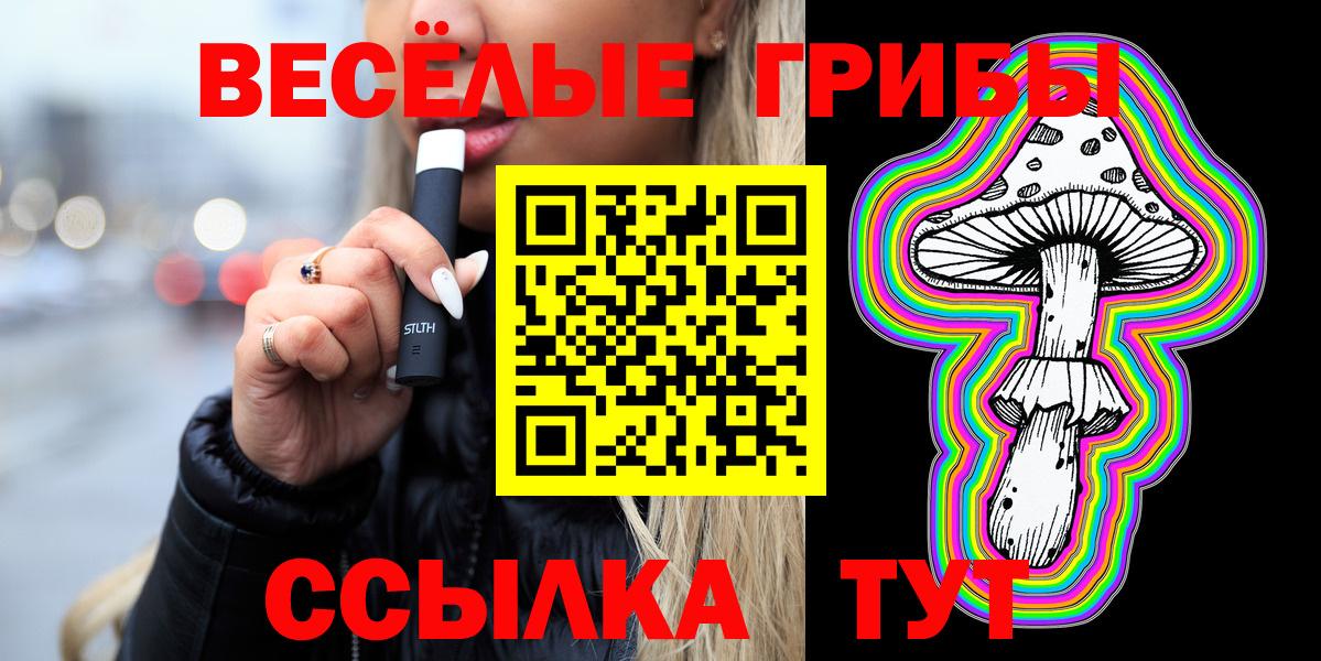 Псилоцибиновые грибы мицелий Котовск