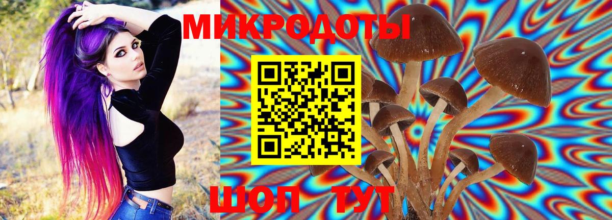 Галлюциногенные грибы ЛСД  Вход с VPN  купить   Котовск  Галлюциногенные грибы прущие грибы 